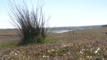 La playa de La Serena se queda sin agua