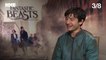 Fantastic Beasts: We Quiz Ezra Miller on his 'Harry Potter’ Knowledge