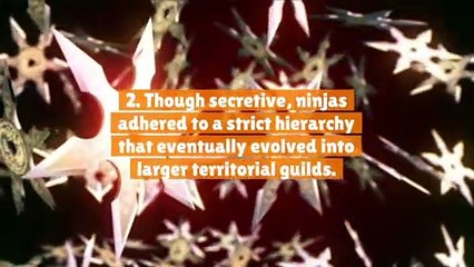 10 Things You Didn't Know About Ninjas
