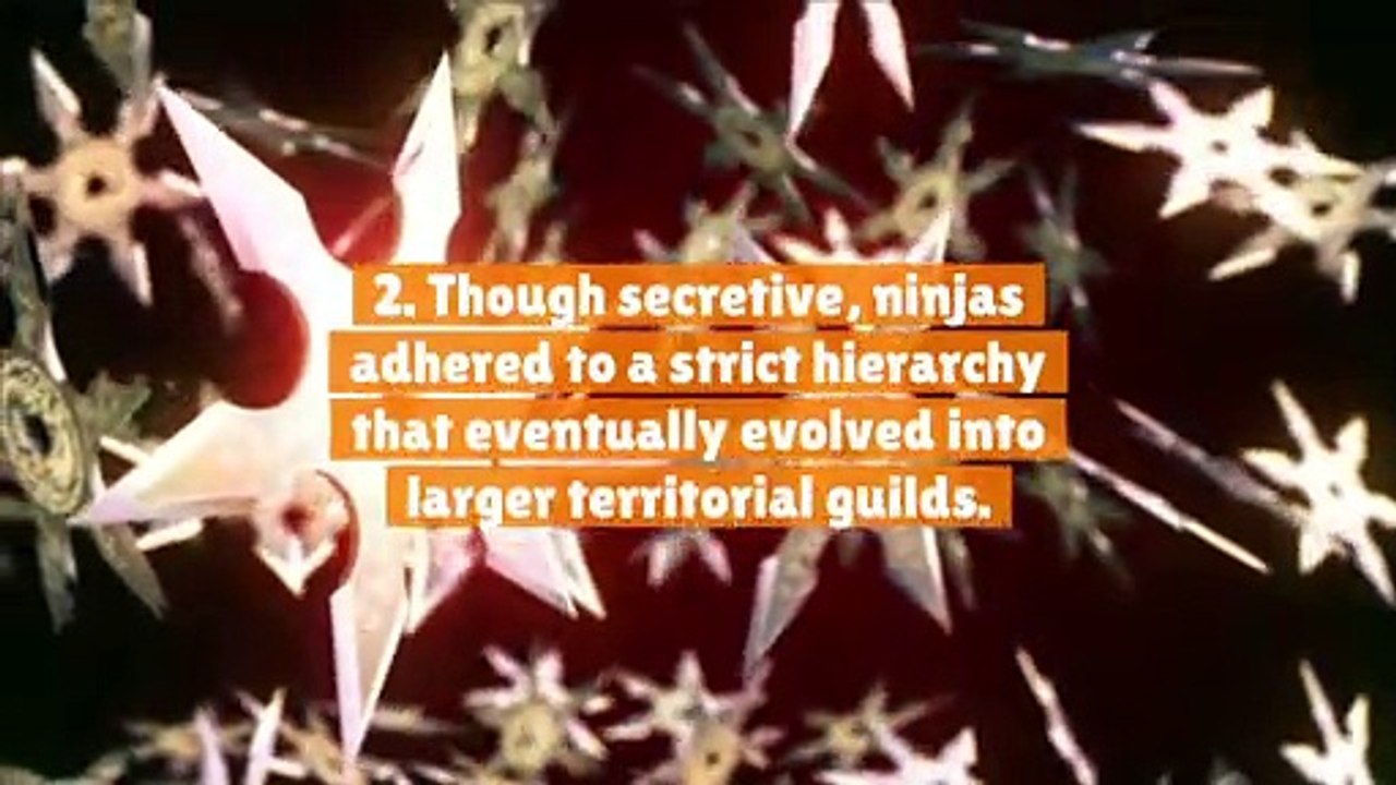 10 Things You Didn't Know About Ninjas