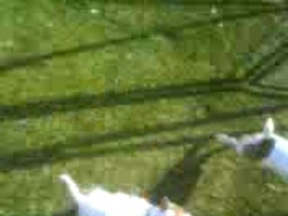 Chiki louna et la corde