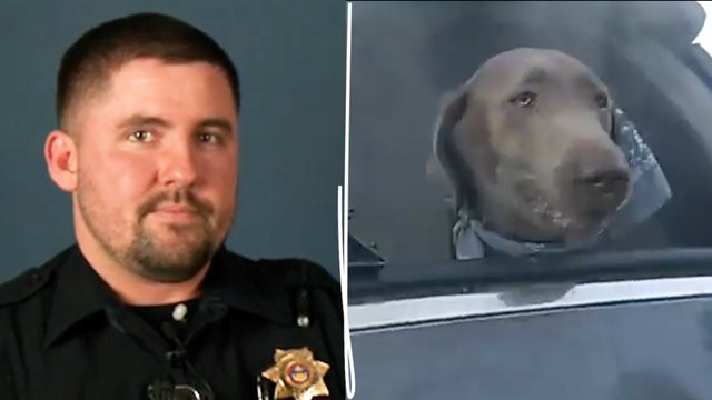 Etats-Unis : l'incroyable vidéo d'un policier qui sauve un chien des flammes