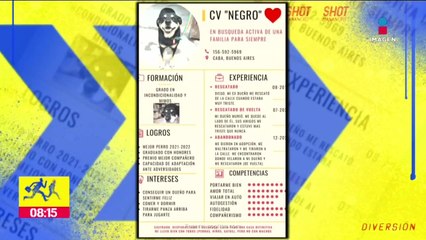 "Se porta bien" Perrito busca ser adoptado y este es su CV