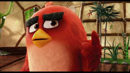 Angry Birds Clip - Nice Chatting With You