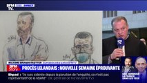 Procès de Nordahl Lelandais: le père de Maëlys est 