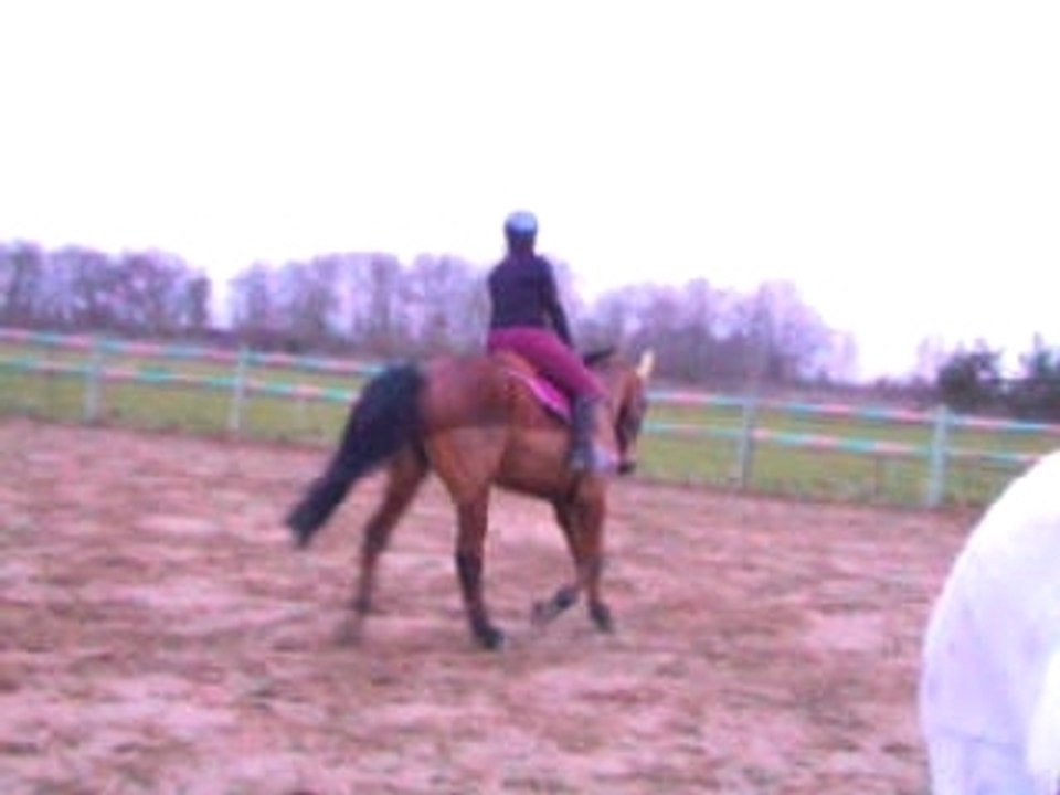 essai_doline_trot