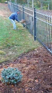 Rescuing a Doe Stuck in a Narrow Fence