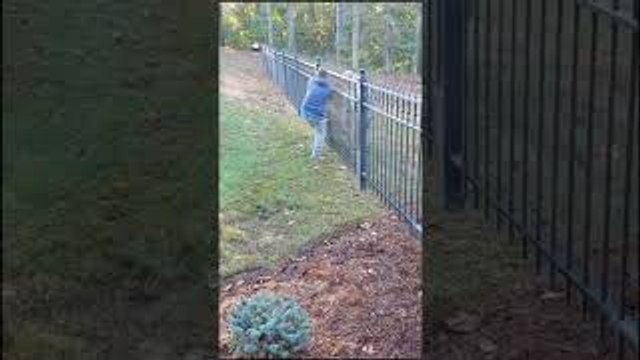 Rescuing a Doe Stuck in a Narrow Fence