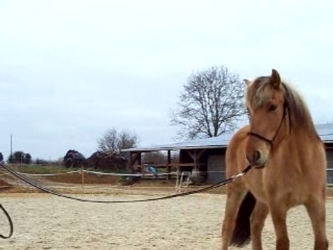 Pilou détourné longe