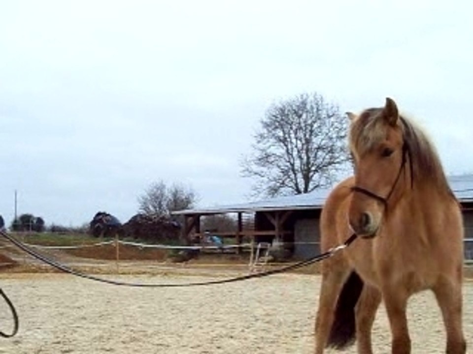 Pilou détourné longe