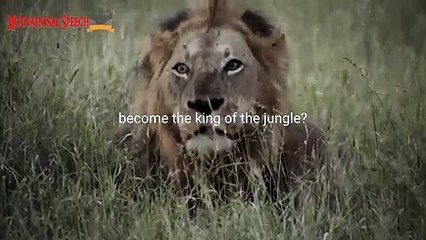 LION MENTALITY - Motivational Speech by Ray Lewis & Eric Thomas