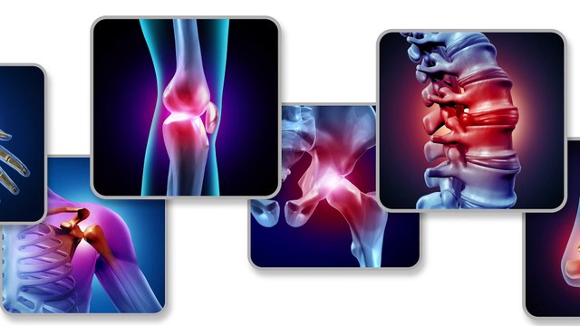 5 raisons de suivre la formation : Innate Immunity