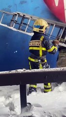 Rescuing a Dog in Tight Spot Underneath Bridge