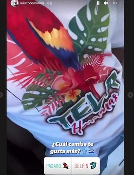 ¡Al son de la música garífuna! Luisito Comunica y Arianny pasaron su segunda noche en Honduras