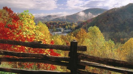 Another Place And Another time Dr. Robert Ownby