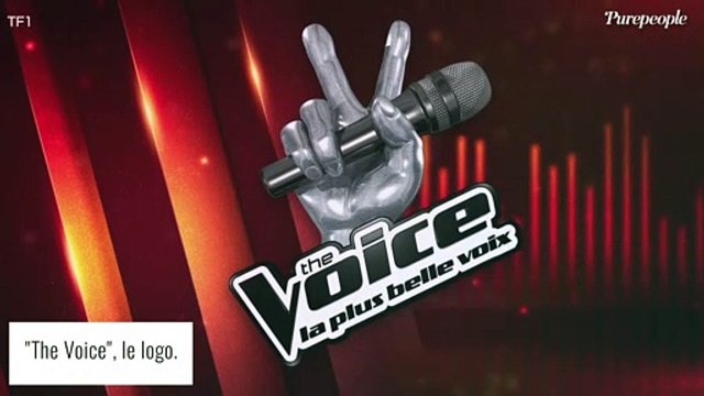 The Voice : Une ex-candidate défigurée à cause d'injections, c'est douloureux