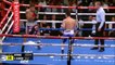 Roger Gutierrez Vs Rene Alvarado III Highlights (WBA Title)