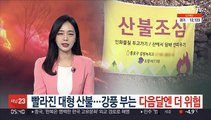 빨라진 대형 산불…강풍 부는 다음달엔 더 위험