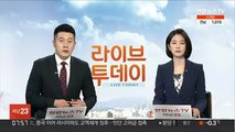 '박원순 피해자 명예훼손 의혹' 남인순 등 불송치