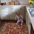 Mom's dancing baby videos are giving us life _ GMA Digital