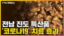 [자막뉴스] 전남 진도 특산품에서 '코로나19' 치료 효과 발견 / YTN