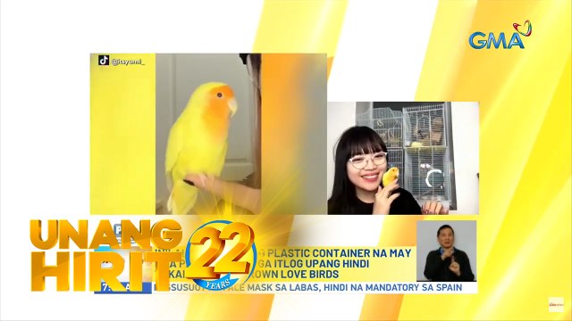 Unang Hirit: Most-loved pets na Lovebirds, paano ba inaalagaan?
