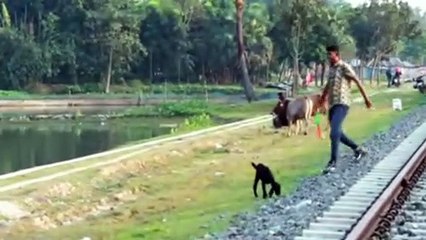 Fanny video ফানি ভিডিও