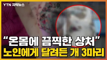 [자막뉴스] 80대 노인에게 달려든 사냥개 3마리...또 '개 물림' 사고 / YTN