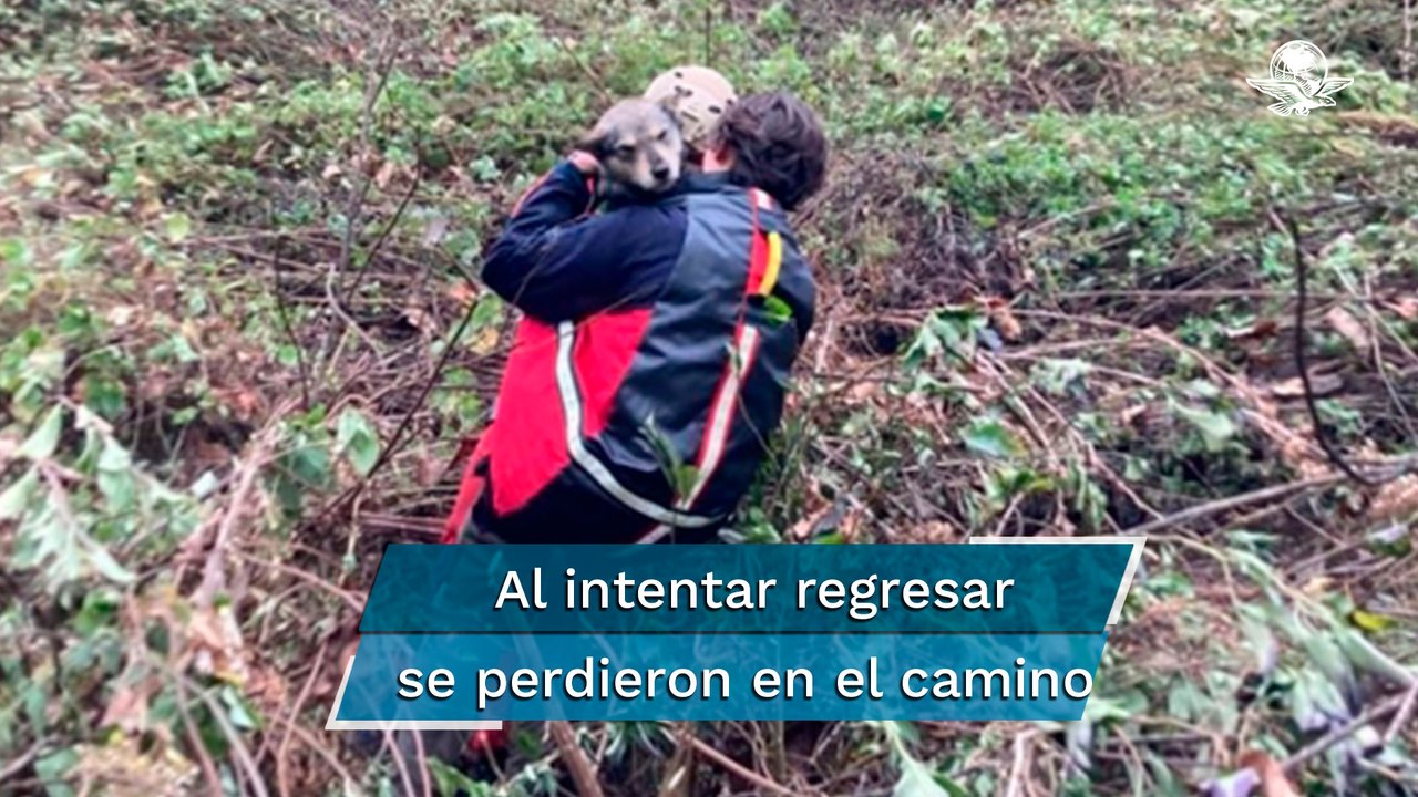 Rescatan a seis jóvenes y un perrito tras perderse en el Parque Estatal Sierra de Guadalupe, en Coa