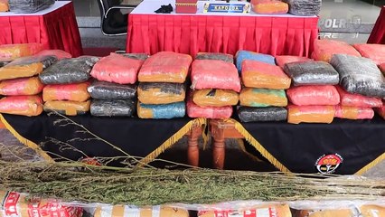 Polda DIY Ungkap Peredaran Ganjai Dengan Barang Bukti 2 Ton Ganja