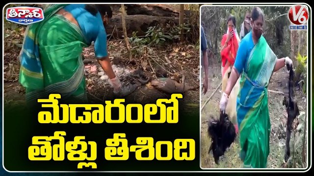 Congress MLA Seethakka Cleans Garbage In Medaram _ V6 Teenmaar News