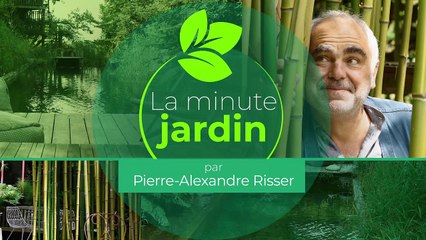 La minute jardin  - Zoom sur que planter au potager en automne ?