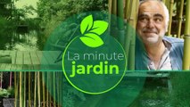 La minute jardin  - Zoom sur le potager en automne : quels sont les fruits et légumes à récolter ?