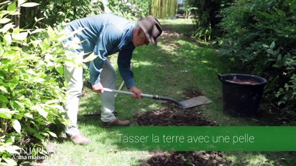 La minute jardin  - Zoom sur le gazon brulé par le soleil