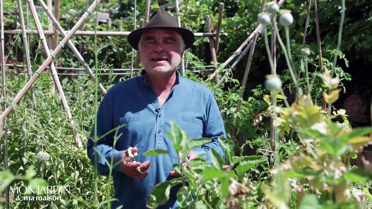 La minute jardin  - Zoom sur que faire au potager en septembre ?