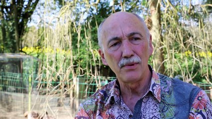 Mon jardin et ma maison - Visite du jardin de Jean Pierre