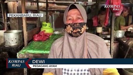 下载视频: Harga Ayam Potong Di Pekanbaru Turun Drastis