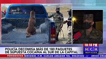 Cuerpos Policiales decomisan más de 180 paquetes de supuesta cocaína en la capital