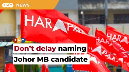 Name Johor MB candidate soon to avoid being seen as weak, PH told