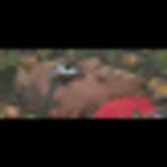 Promo Fear Factor Malaysia Episod 4