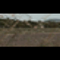 Fear Factor Malaysia Ep 08