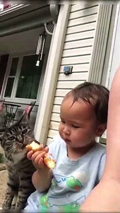 A Sweet Baby Share Her Food To The Cat  #shorts