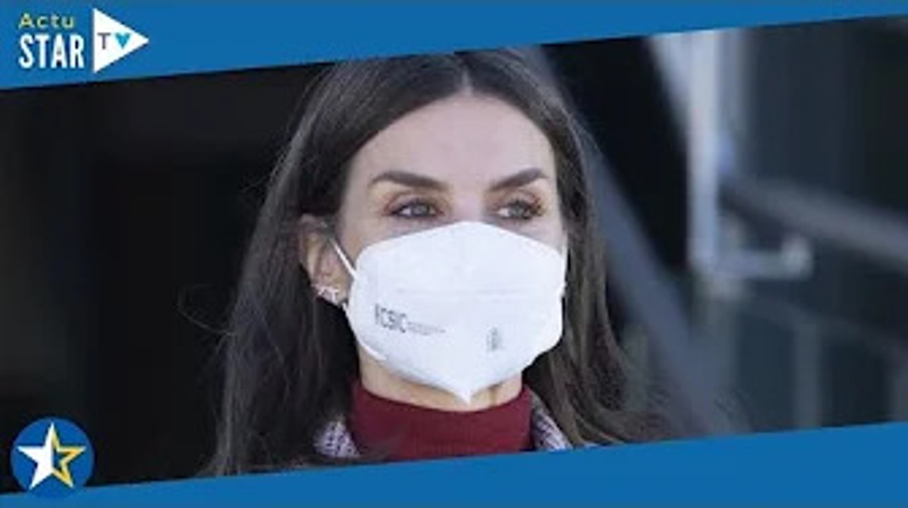 Letizia d'Espagne : cette petite frayeur causée par ses talons hauts à son arrivée au musée