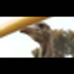 Fear Factor Malaysia Ep 11