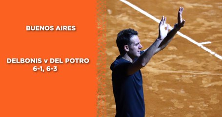 Buenos Aires : En larmes, Juan Martin Del Potro a "probablement" joué le dernier match de sa carrière