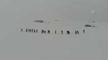 Kayak sporcuları Ağrı'nın soğuk ve karlı dağlarında başarıya koşuyor