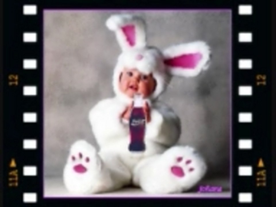 Cocastatique vs lapin taré