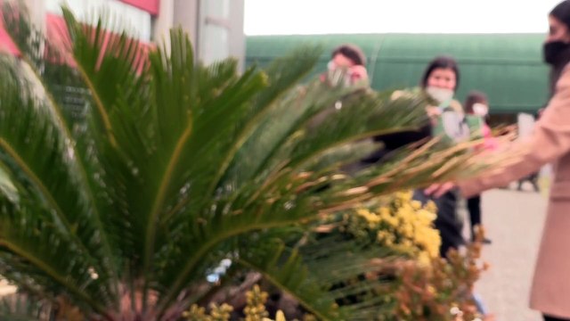 Molestie al liceo, la vicepreside: C'è un'indagine, se accuse confermate il prof sarà allontanato