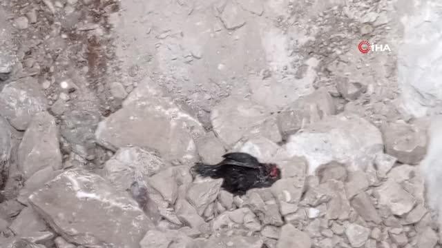 Hazine bulmak için siyah tavuk kesip kuyuya indiler- Kaçak kazıda suçüstü yakalanan muhtar: Kazı yapmadık, mera kontrolü yaptık