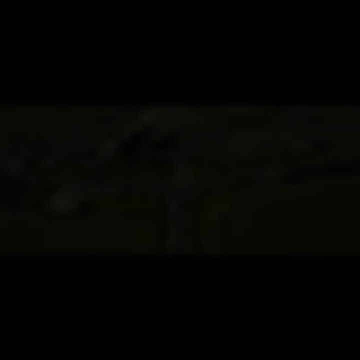 Trailer Godzilla